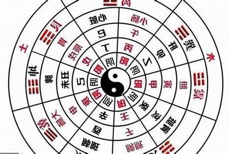 八字全陽 女